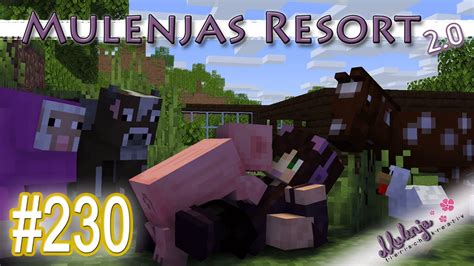 Mulenjas Resort Rundgang Und Planung Des Umbaus Minecraft