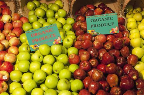 Why Is Organic Food So Expensive How Organic Food Works Howstuffworks