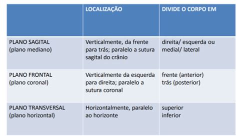 CINESIOLOGIA Planos Eixos E Movimentos Quizlet