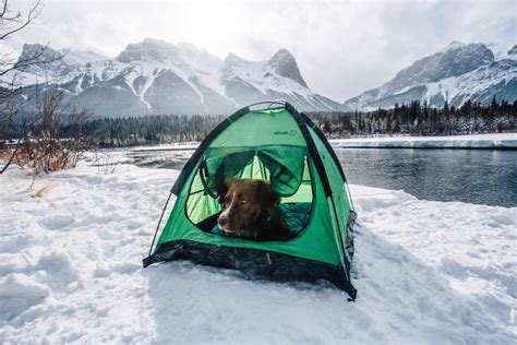 Alcott Explorer Pup Tent – Dogs That Hike