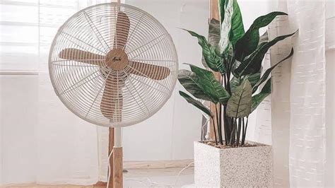 Asahi Wooden Aesthetic Electric Stand Fan Nordic Scandinavian