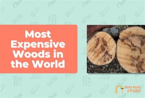 Most Expensive Wood (12 Rarest Woods in the World)