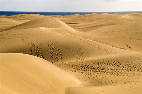 Fotos Gratis Paisaje Naturaleza Desierto Duna Pradera Habitat