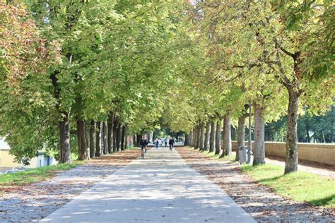 Lucca: A City in Tuscany - Elle & Pear