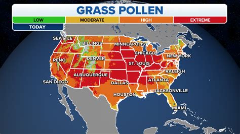 Allergy Sufferers You Might Be Cleaning Your House All Wrong Fox Weather