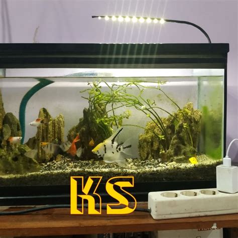 Lampu Aquarium 10 Mata Led Smd Putih Terang Lampu Aquascape Lampu