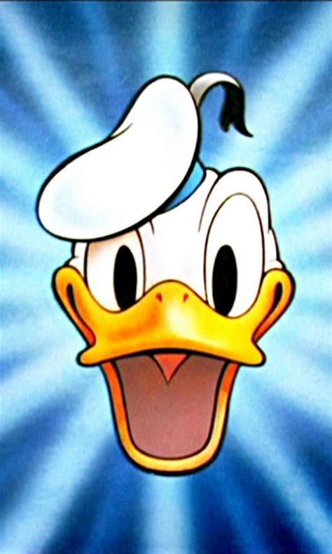 Donald Duck Ultra Hd Wallpaper K Infoupdate Org