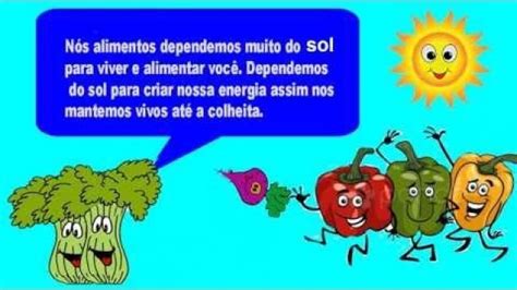 O sol que nos alimenta uma conversa sobre segurança alimentar