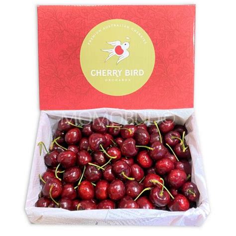 Jumbo Australian Cherry Bird Lapin Red Cherry 2kg Box MomoBud