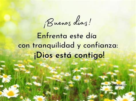 imagenes de buenos dias domingo de dios bonito cafe gato dios