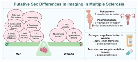 Frontiers Imaging Phenotypic Differences In Multiple Sclerosis At