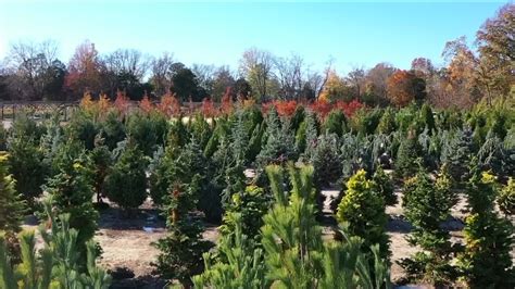 Planting this fall with Colesville Nursery