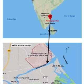 Sample collection from Vellar estuary | Download Scientific Diagram