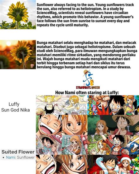 Pin By Sondra Andrews On One Piece Pieces Facts One Piece Pictures