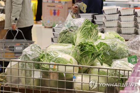 배추값 내려도 김장 안하고 그냥 사 먹을래요포장김치 수요 급증 오피니언뉴스