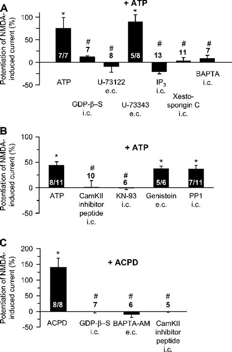 Effects Of Atp And Acpd On The Nmda Induced Current In Layer V