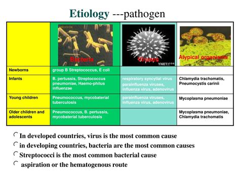 Ppt Pneumonia Powerpoint Presentation Free Download Id 164203