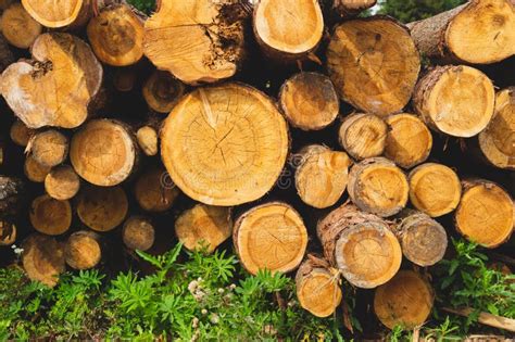 Parete Di Tronchi Fondo Di Legno Ambiente Rurale Esterno Fotografia