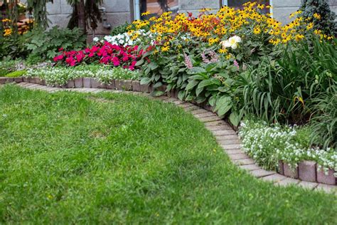 13 Flower Border Ideas