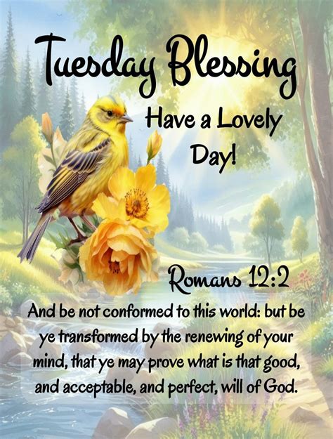 Romans 12 2 Tuesday Blessing Bible Verse Pictures Photos And Images