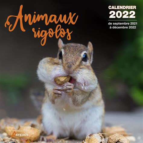 Amazon Fr Calendrier Animaux Rigolos 2022 COLLECTIF Livres