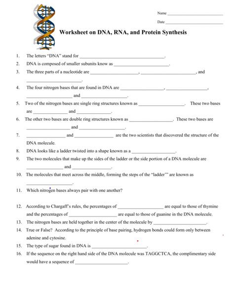 Dna And Rna Questions And Answers