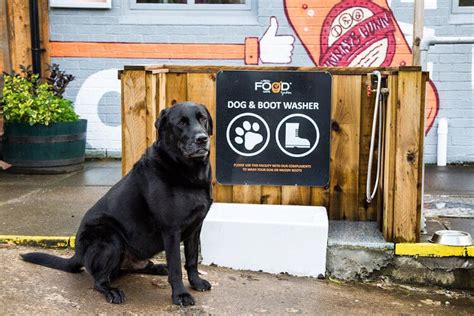 The Uks Best Dog Friendly Cafes And Coffee Shops Canine Cottages