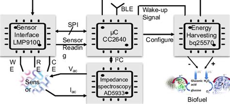 Simplified circuit diagram of the glucose sensor patch. | Download Scientific Diagram