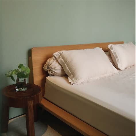 Jual Nou Ready Stock Bamboo Lyocell Bed Sheet Sprei Shopee Indonesia