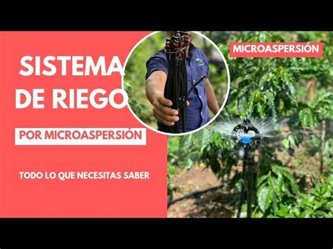 RIEGO POR MICROASPERSIÓN TODO LO QUE NECESITAS SABER VENTAJAS