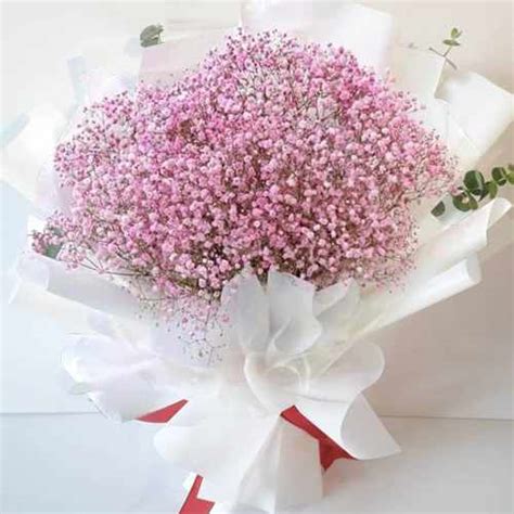 Pink Baby Breath Bouquet - Best Flower Bouquet For Girlfriend