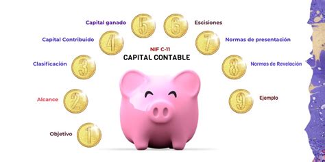 Nif C Capital Contable