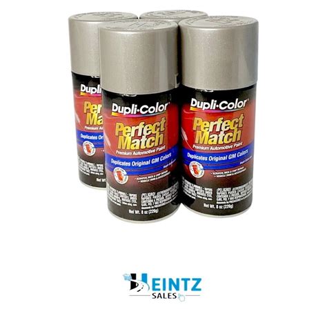 Duplicolor Bgm0490 Perfect Match Gm Pewter Metallic 8 Oz Aerosol Wa382e