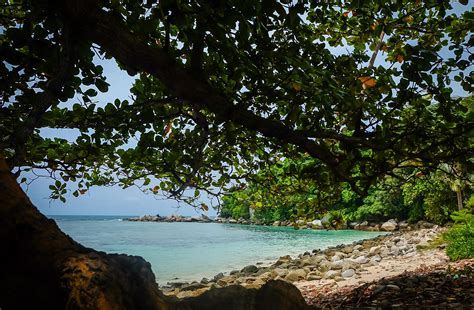 Images Gratuites plage paysage mer côte arbre eau la nature