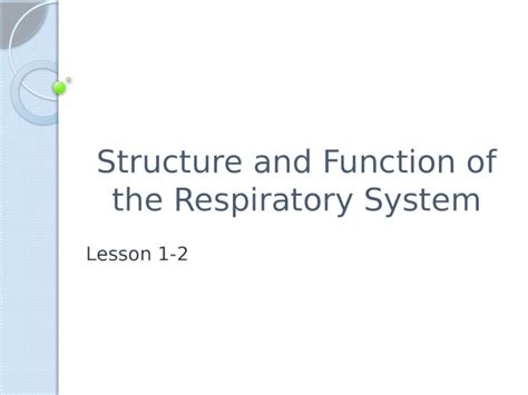 Pptx Structure And Function Of The Respiratory System Lesson 1 2 Dokumentips