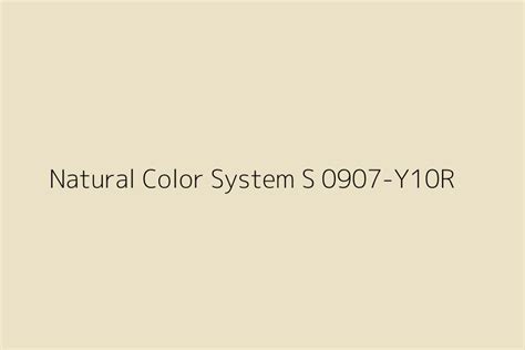 Natural Color System S 0907 Y10r Color Hex Code