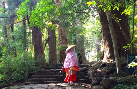 世界遺産と自然の恵みを満喫！和歌山県田辺市のご紹介 つながる旅 By Mincan