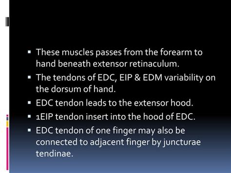 Extensor mechanism of finger