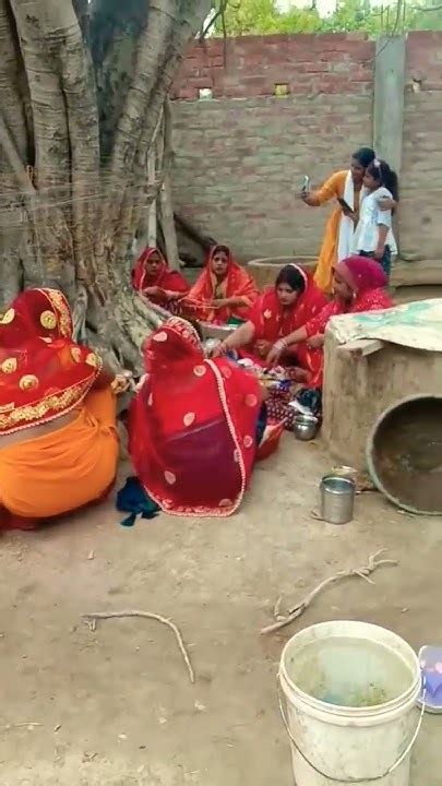 Jaise Devela Shivji Gaura Ke Pyar Ho🙏 Vat Savitri Pooja Status 🥰🥰