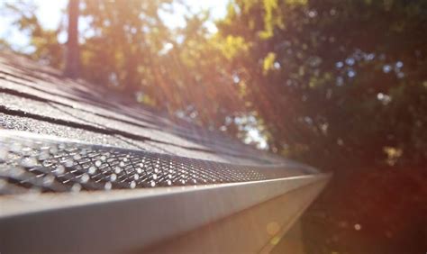 How Much Do Leaf Guard Gutters Cost A Comprehensive Guide Smart Florida Gutters