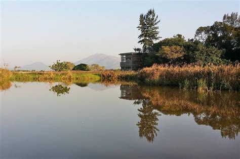 Hong Kong Wetland Park - New Territories Attractions - Go Guides