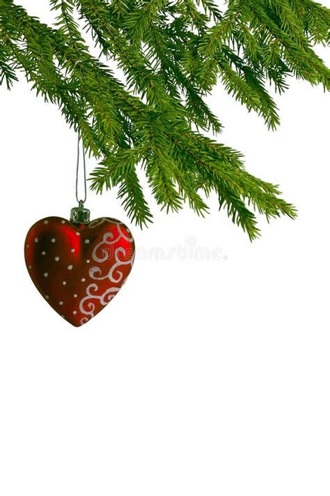 Red Christmas Heart On Fir Tree Stock Image Image Of Saturated