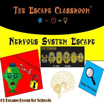 Nervous System Escape Room | The Escape Classroom by The Escape Classroom