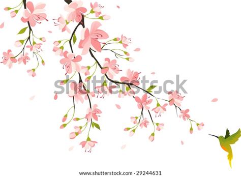 Spring Hummingbird Scene Over 49 Royalty Free Licensable Stock Vectors