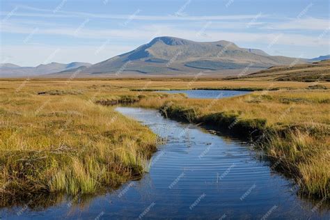 Premium Photo | Assessing peatland ecosystem response to climate c ... 