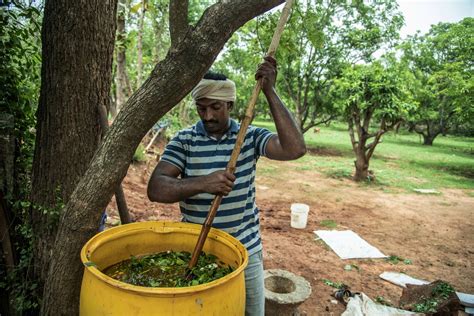 India Farming Zero Budget Natural Approach Folu