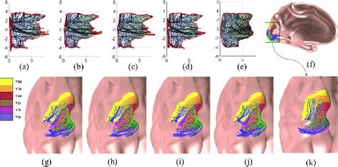 The Retinotopic Mapping Of The V1 V2 V3 Complex Of The Left Hemisphere