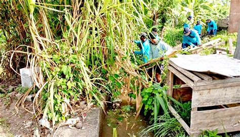 NUSABALI Antisipasi Banjir Dinas PUPR Denpasar Bersihkan Sungai