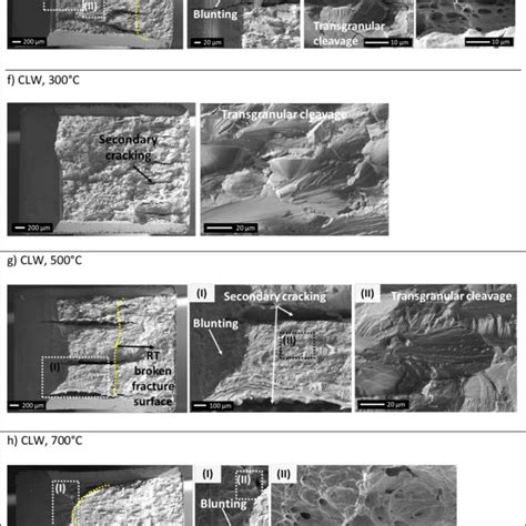 Sem Images Of Fracture Surfaces Of The L T Oriented Specimens The