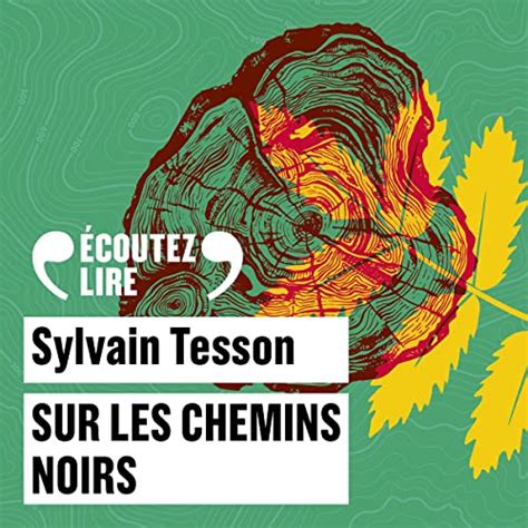 Amazon Sur Les Chemins Noirs Audible Audio Edition Sylvain